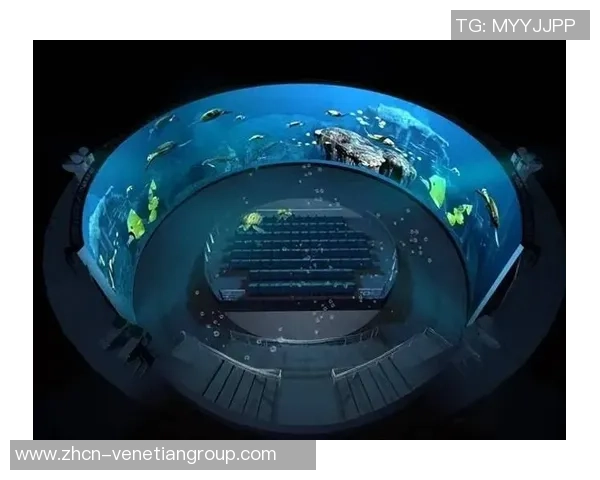 探索澳门威尼斯人新网址,沉浸式娱乐与休闲的门户 探索澳门威尼斯人新网址,沉浸式娱乐与休闲的门户